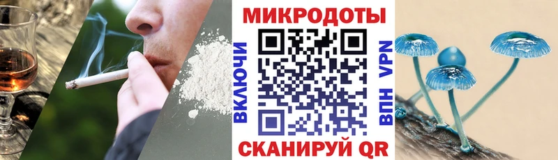 Псилоцибиновые грибы Magic Shrooms кракен маркетплейс Нахабино цены наркотик